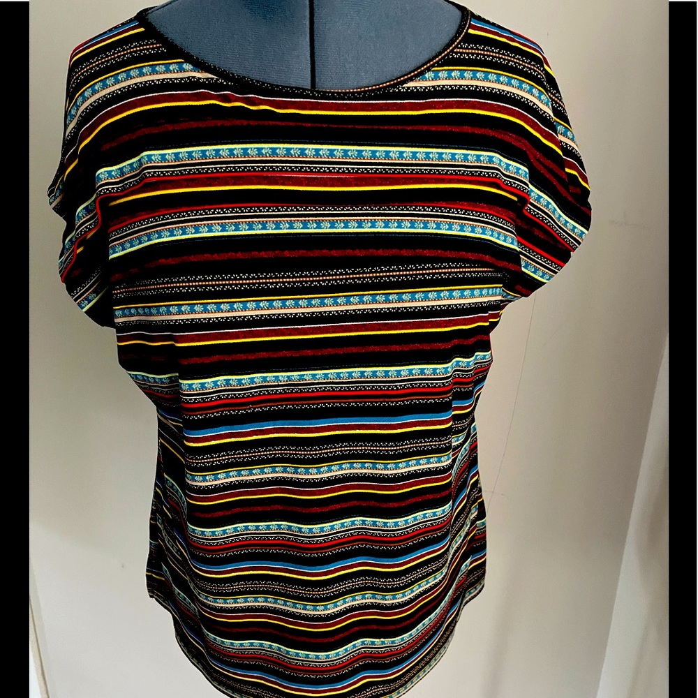 Colorful Dana Buckman Top XL